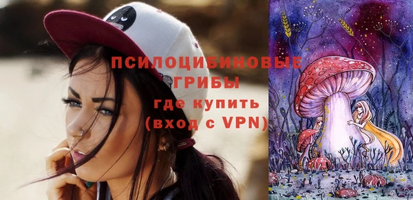 ГАЛЛЮЦИНОГЕННЫЕ ГРИБЫ Арсеньев