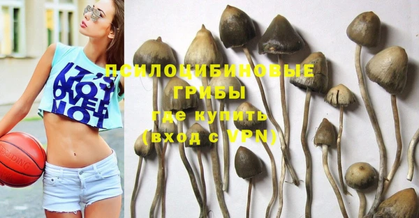 ГАЛЛЮЦИНОГЕННЫЕ ГРИБЫ Арсеньев