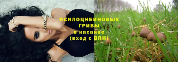 ГАЛЛЮЦИНОГЕННЫЕ ГРИБЫ Арсеньев